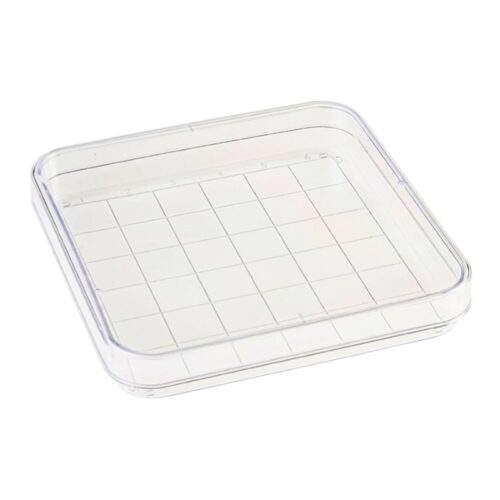 Placa cuadrada de búsqueda 100 mm con rejilla paq. 10