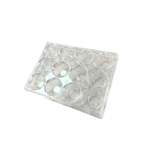 Placa de 12 pocillos para embriones con tripsina para IVF
