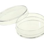 Caja de Petri estéril de 35mm, PK/20